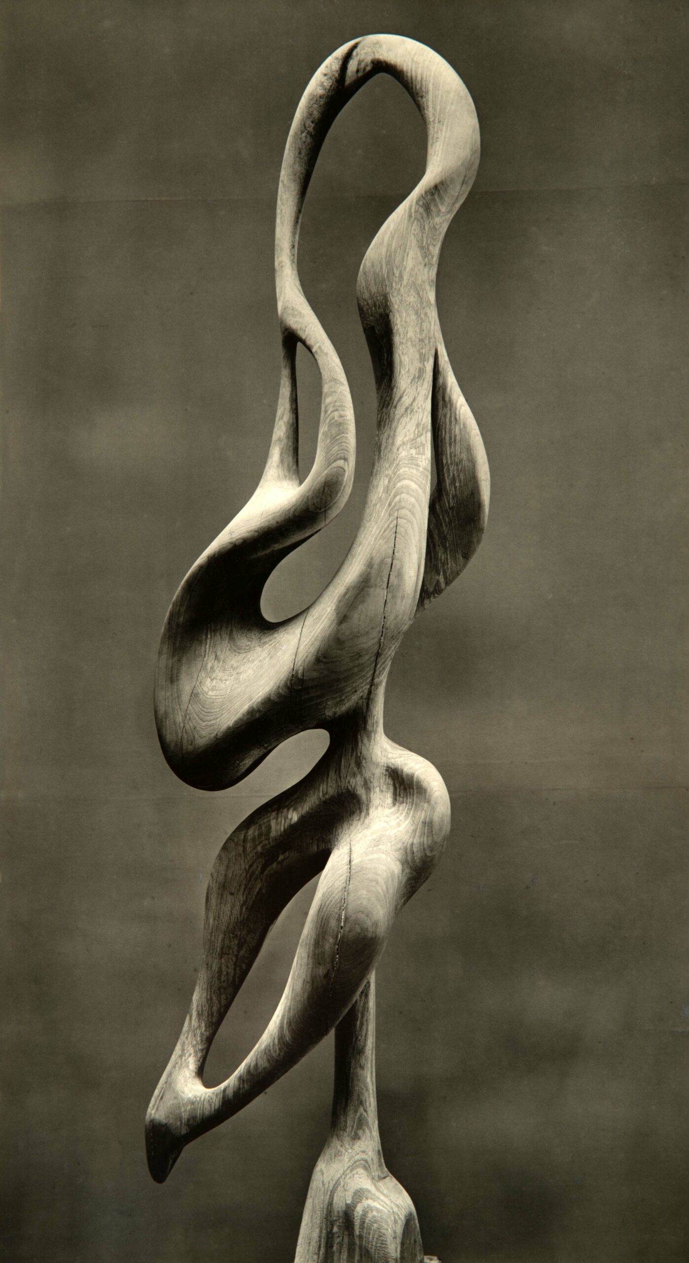 L’Ange