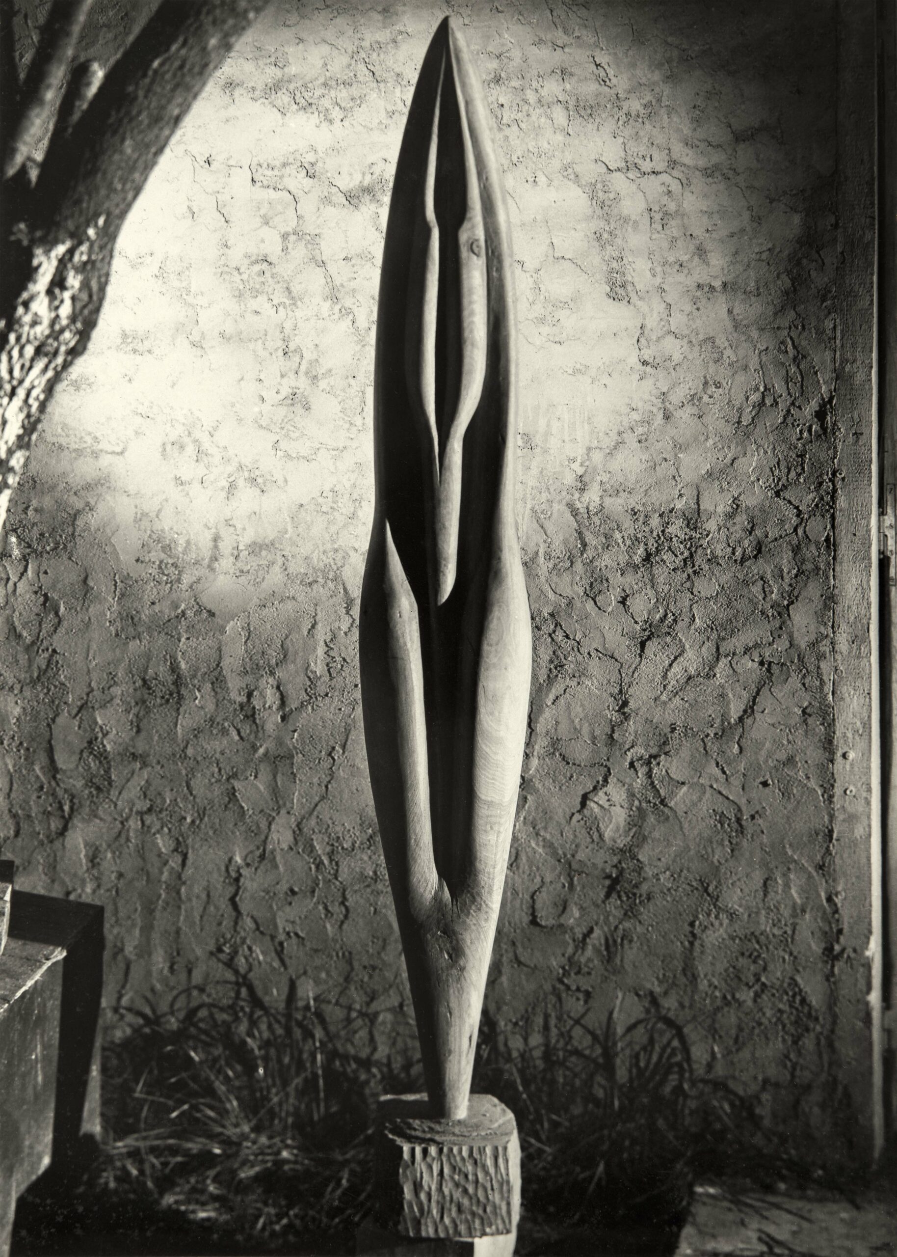 Eclosion