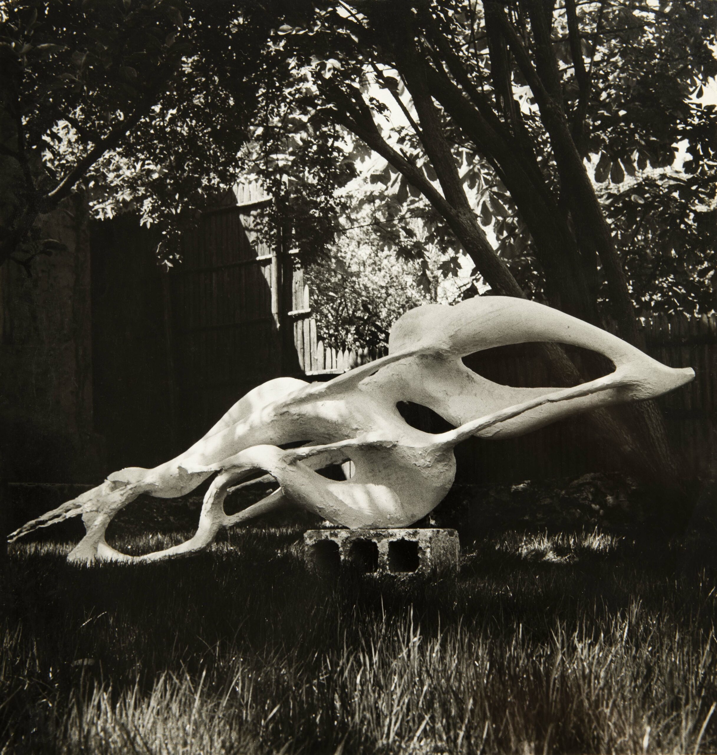 Le Serpent de Feu