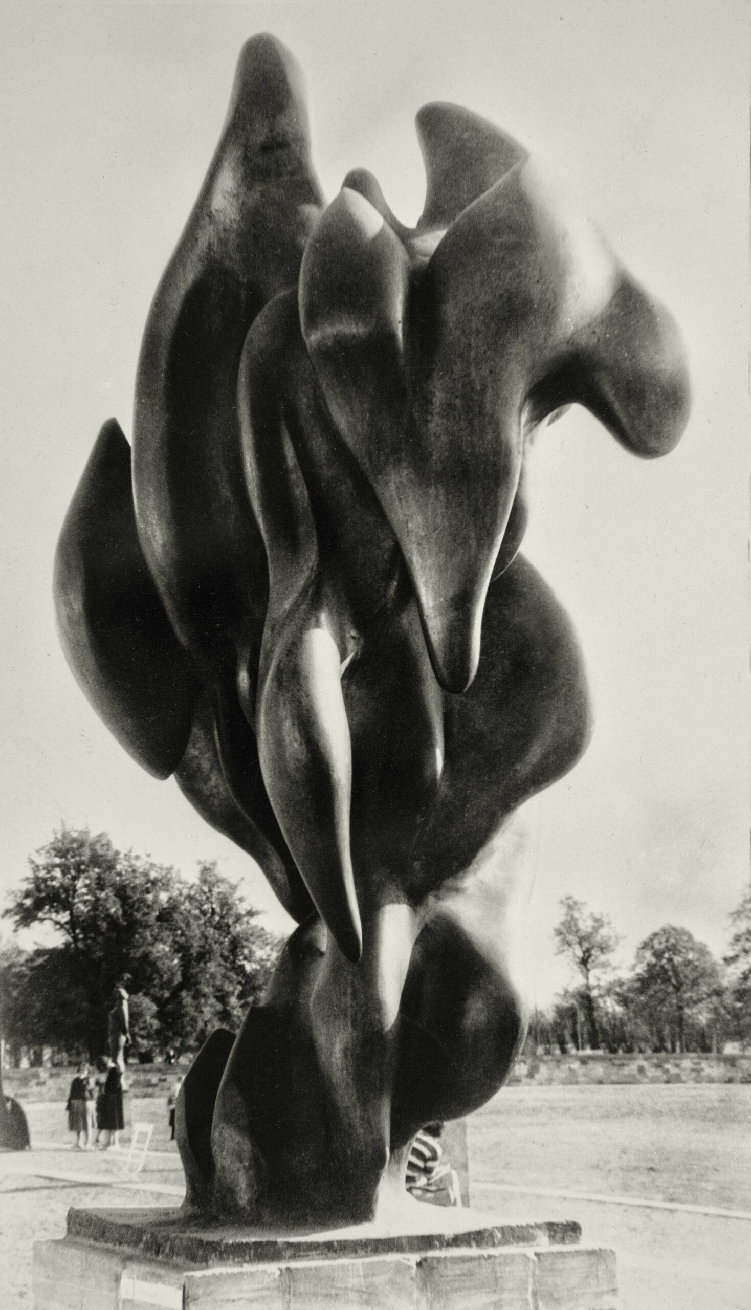 Les Oiseaux