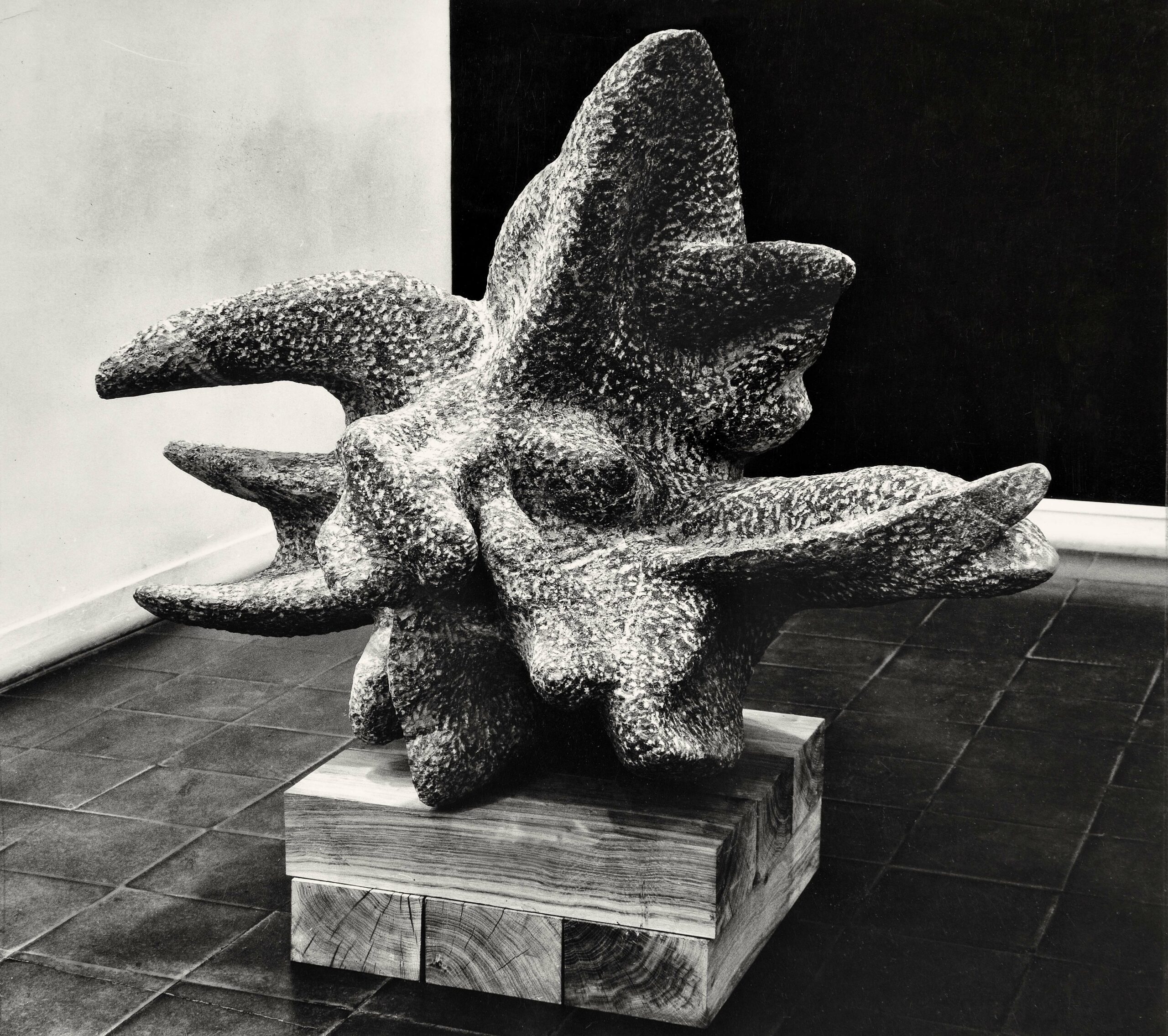 L’araignée de mer