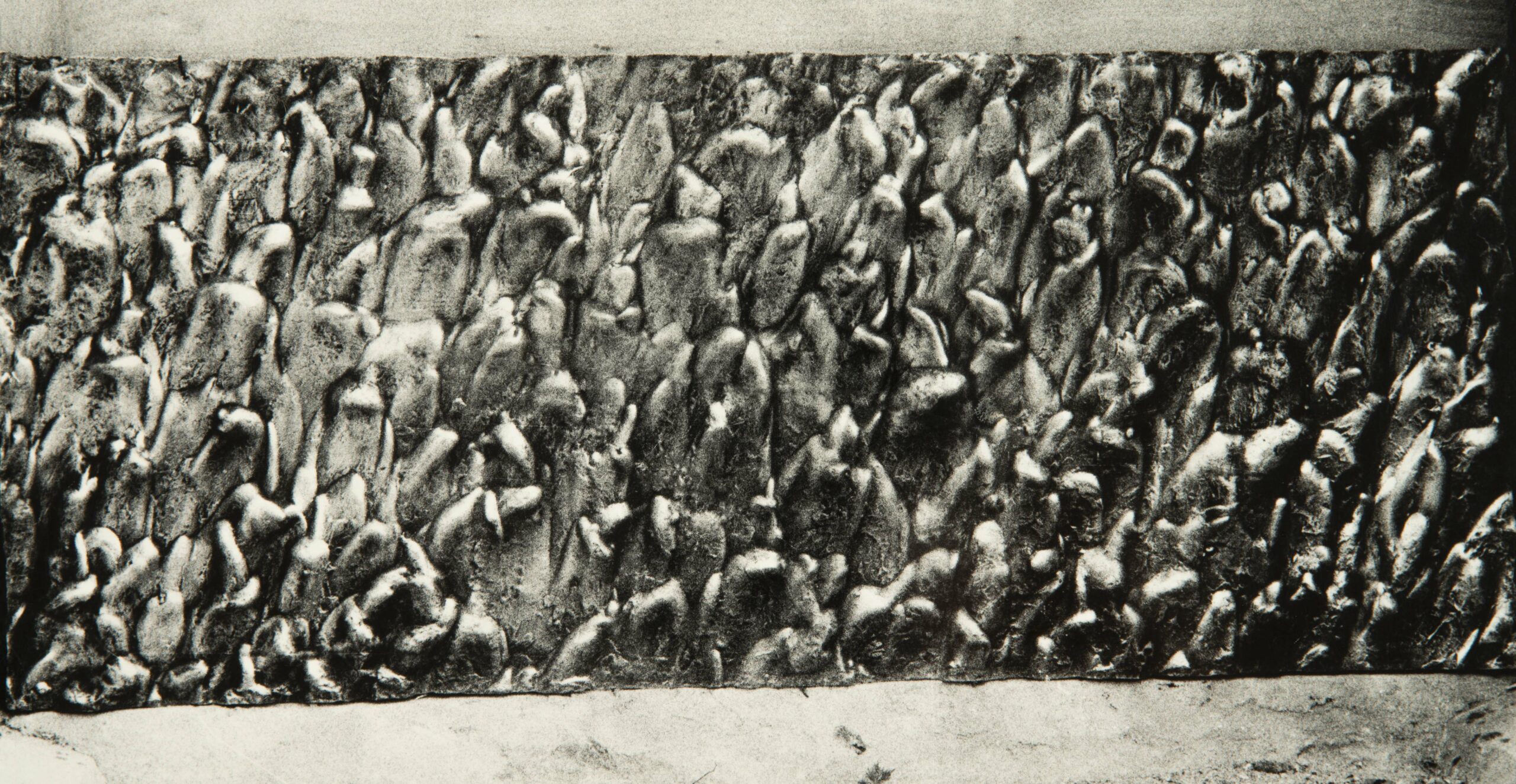 Formation naturelle corrigée