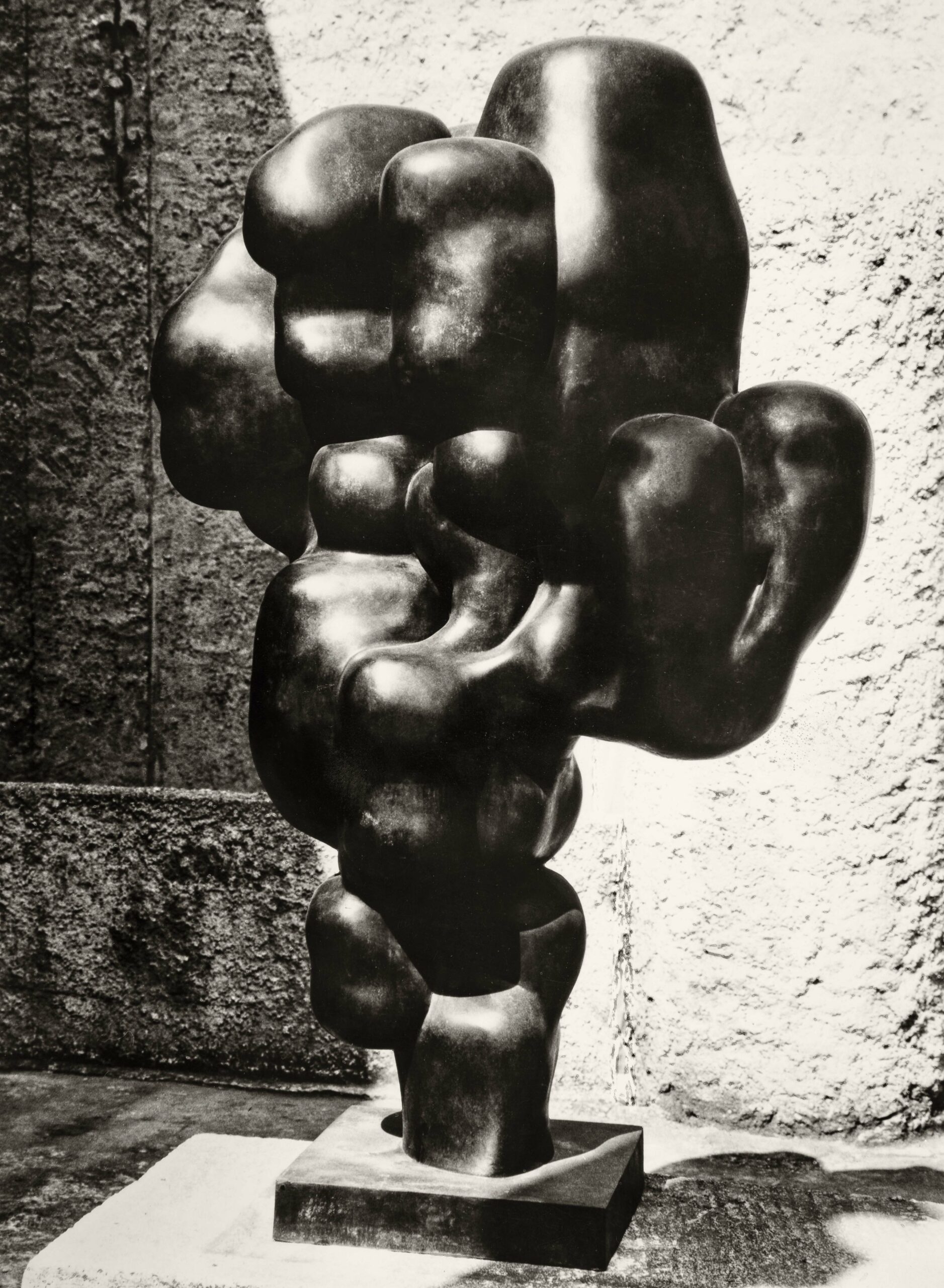 Arbre-Mère