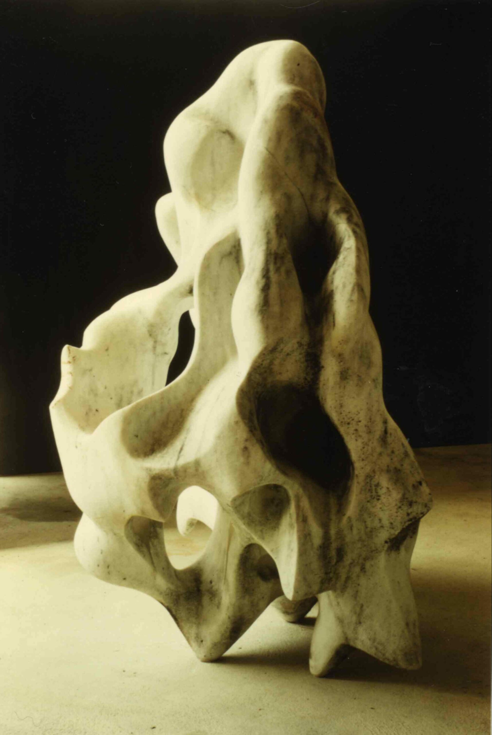 Méduse – grande version