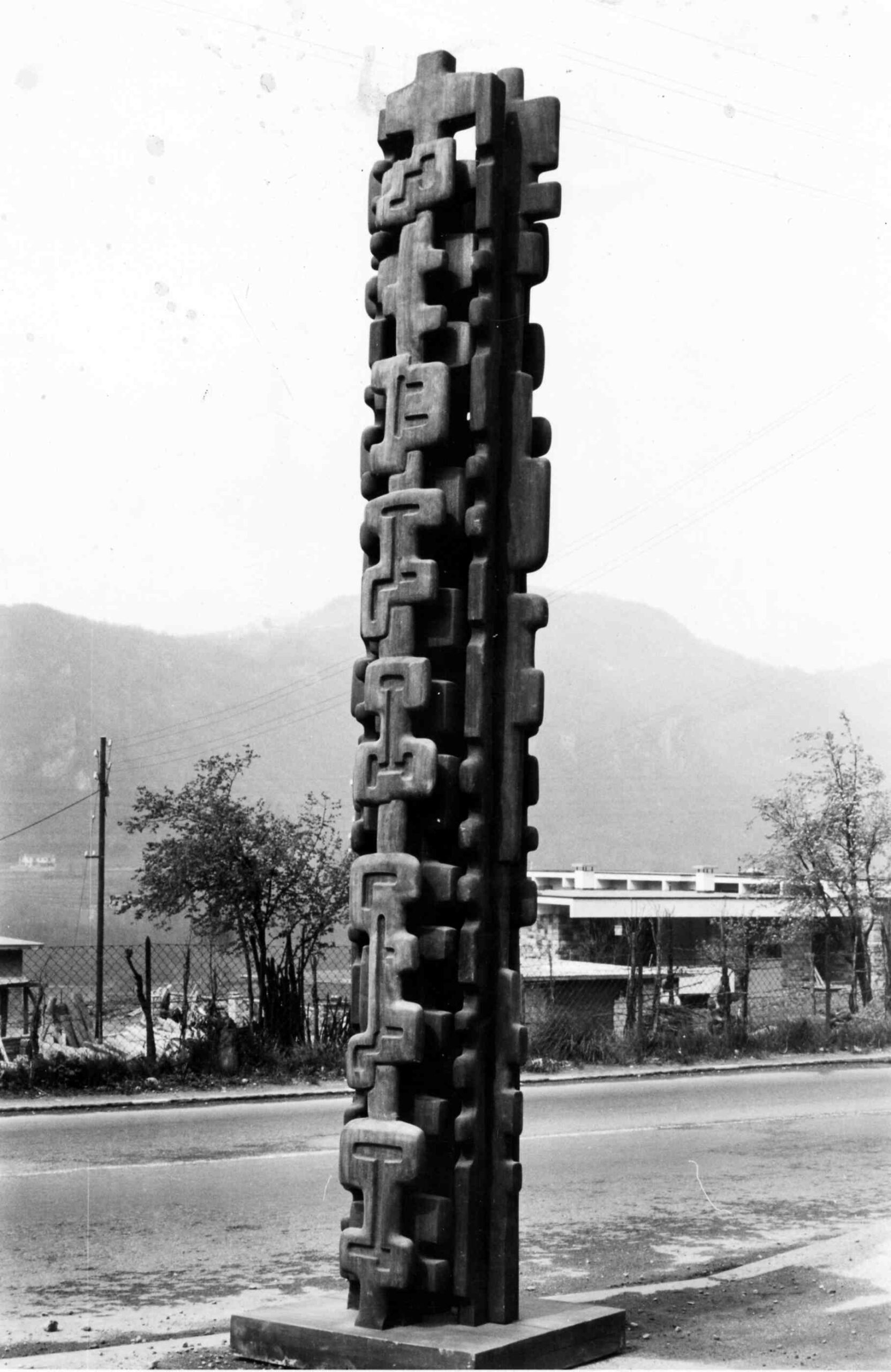 Arbre échelle