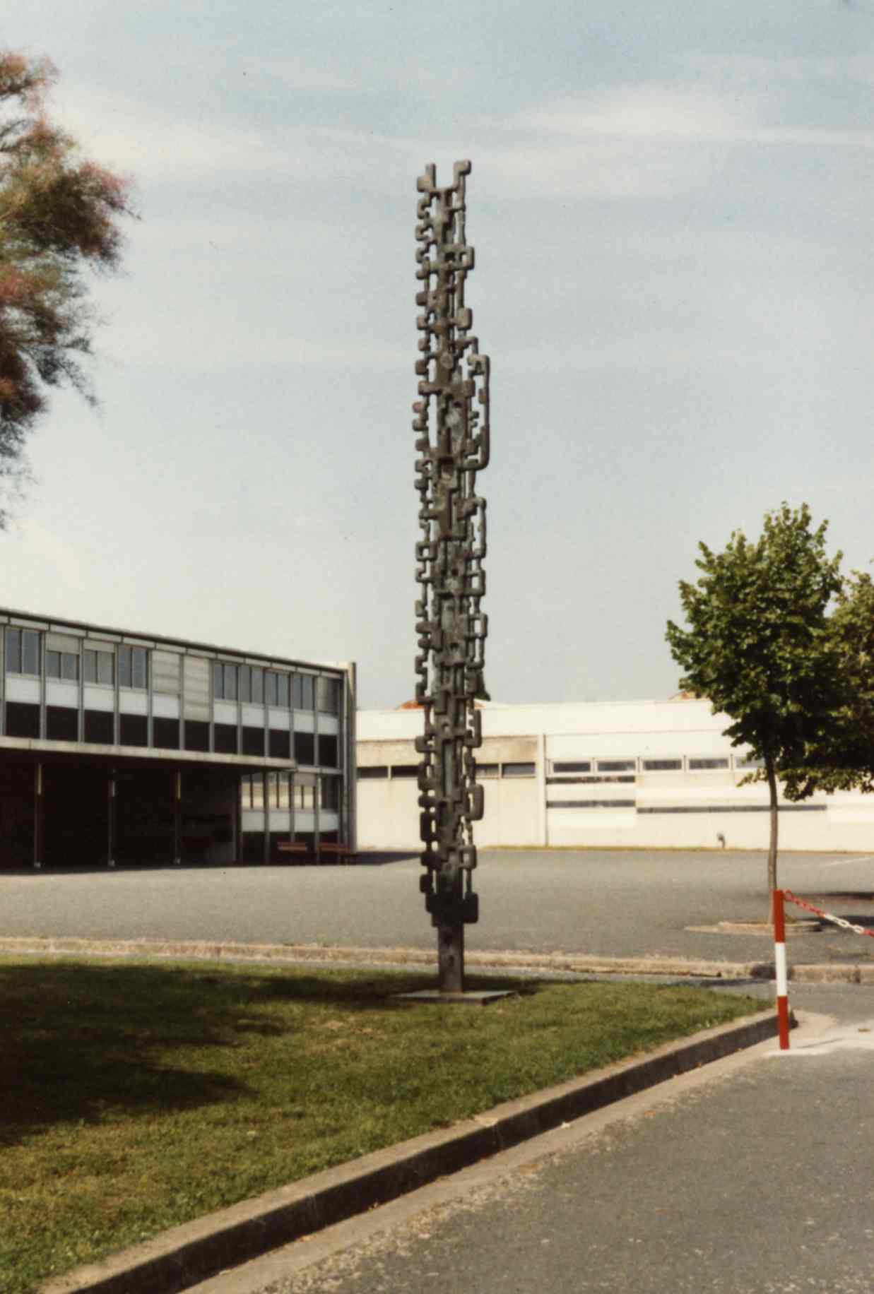 Arbre méandre